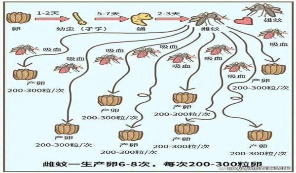 和平精英青蛙辅助器下载