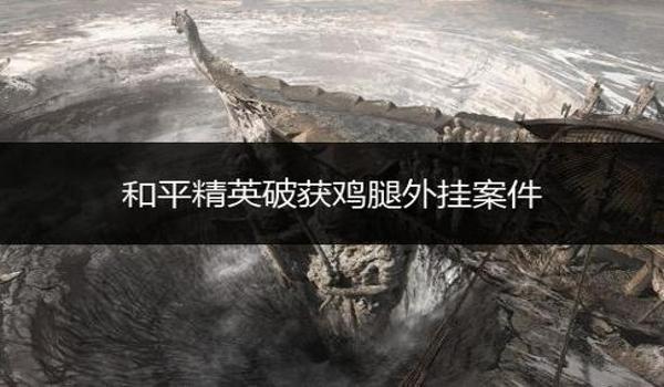 和平精英鸡腿辅助卡密 和平精英鸡腿辅助卡密