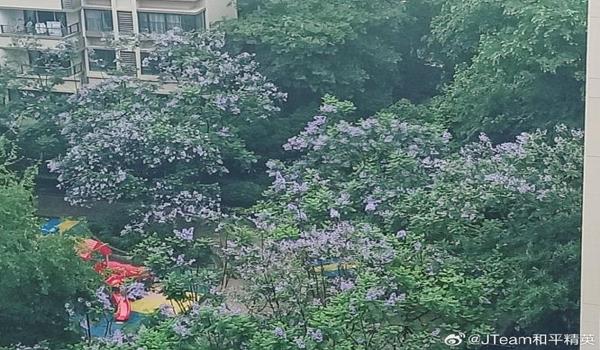 和平精英晴天辅助官方版