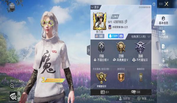 吃鸡和平精英辅助软件