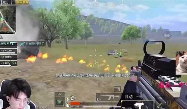 和平精英鸡王辅助好用吗