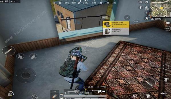 和平精英天道辅助是什么