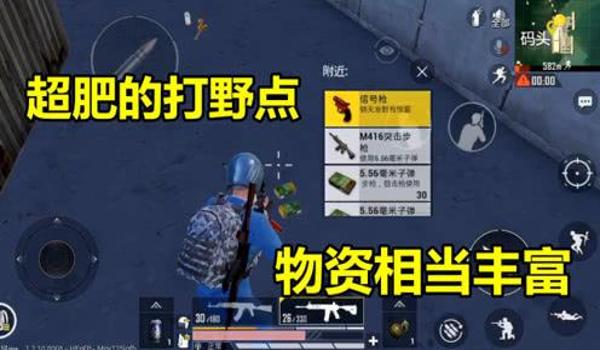 和平精英打野辅助小技巧