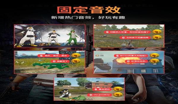 辅助和平精英的变声器软件