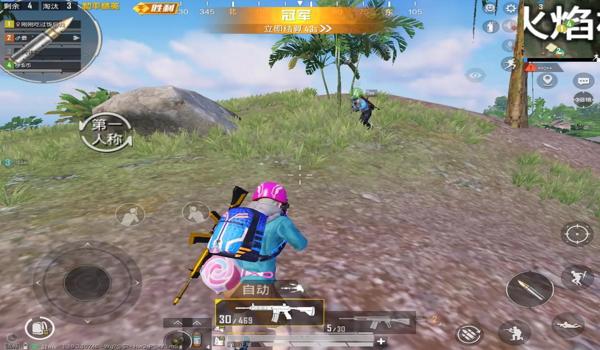 和平精英新赛季辅助推荐