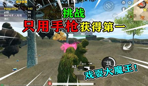 和平精英枫魔王辅助官网