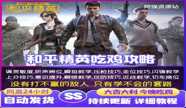 真和平精英免费透视辅助