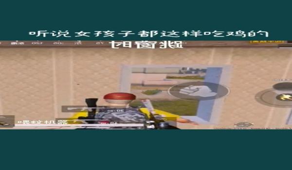 和平精英黑人辅助破解版