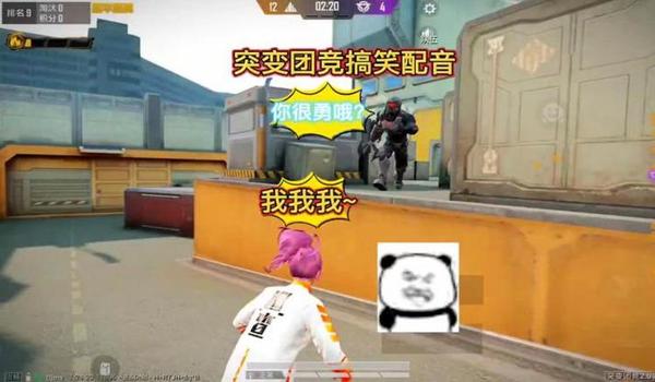 和平精英辅助搞笑视频下载