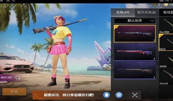 和平精英蔷薇辅助教程下载