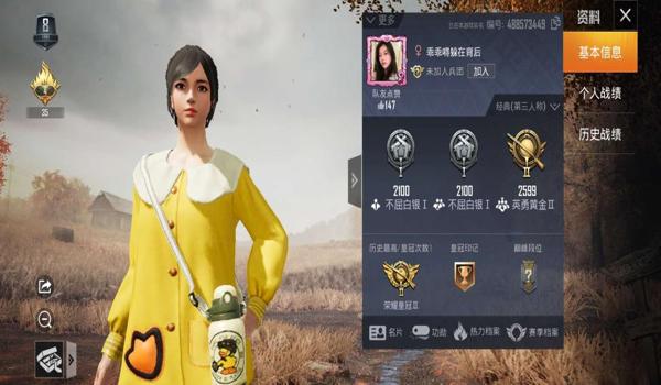 和平精英小如意辅助下载