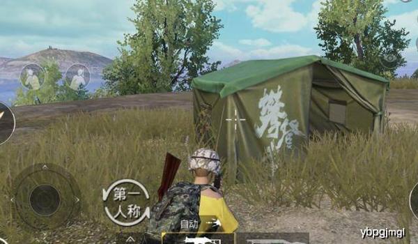 和平精英鸡肋辅助小说女主