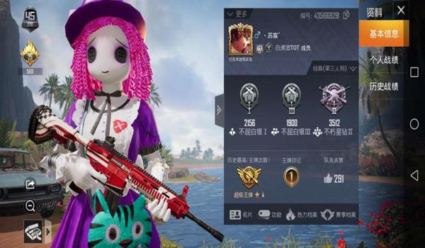 和平精英章鱼辅助发卡网