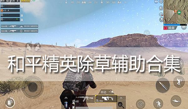 和平精英书生开辅助瞄准吗