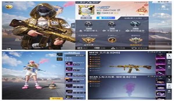 和平精英龙王辅助真的吗