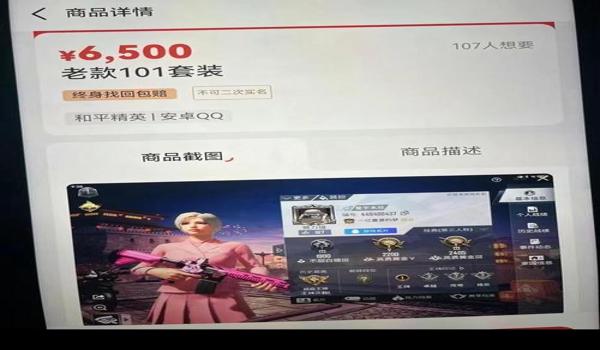 和平精英辅助开发工作室