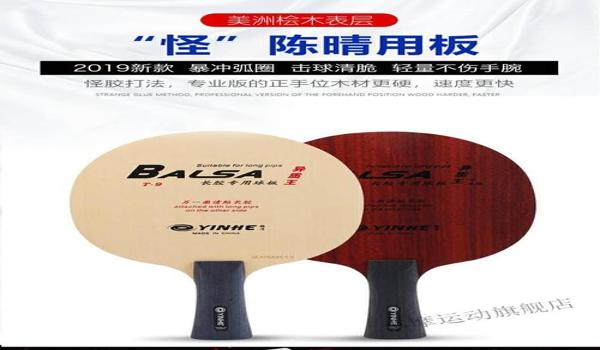 和平精英t9pro辅助