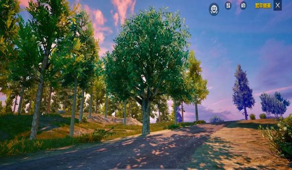 和平精英画质辅助大师