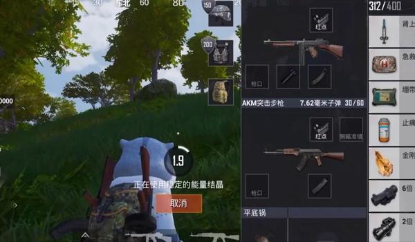 和平精英圣域辅助有什么用