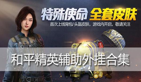 和平精英美化辅助网下载