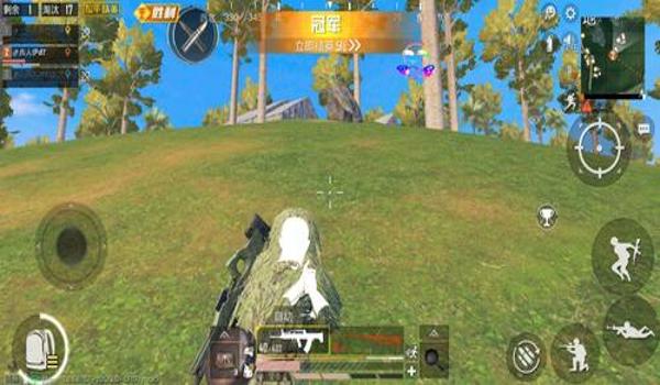 小艾和和平精英辅助哪个好