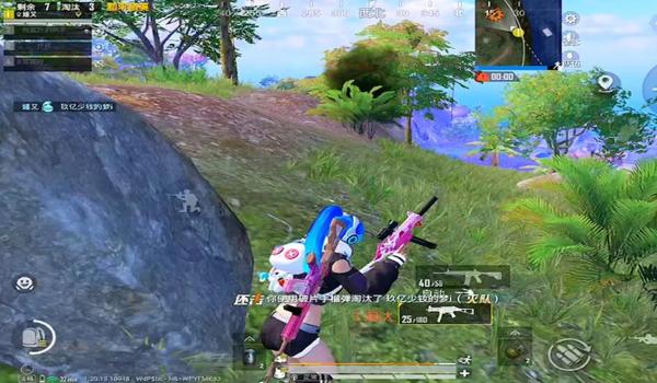 和平精英带妹子的辅助