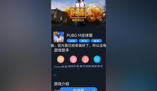 和平精英国际服超强辅助