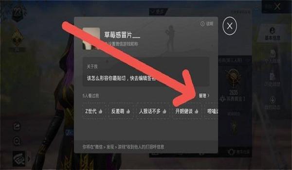 和平精英游戏辅助王怎么打