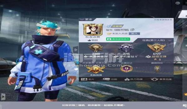 和平精英幻影辅助app