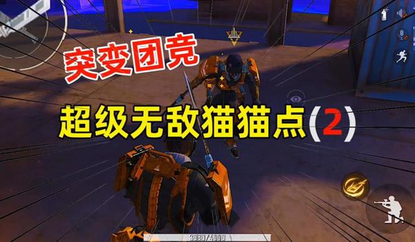 和平精英辅助小猫工作室