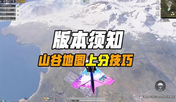 和平精英最快上分找谁辅助