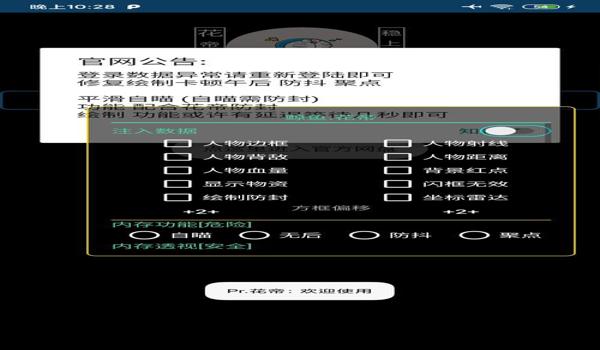 和平精英现实版辅助软件