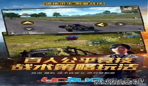 和平精英新樱桃内部辅助