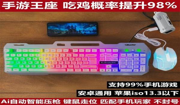 和平精英治愈多功能辅助