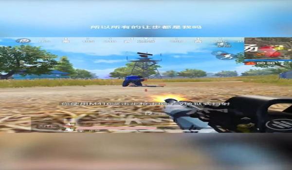 和平精英墨离ML辅助