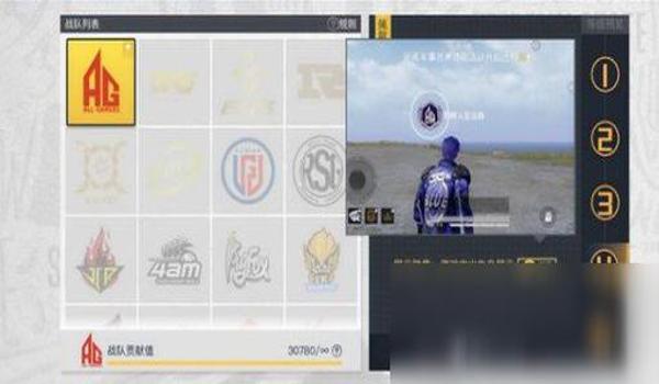 和平精英如何玩好辅助战队