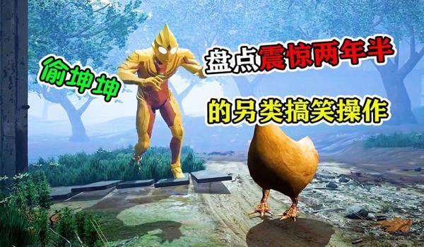 小黄鸡辅助和平精英的特点