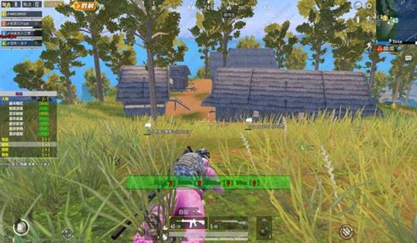 和平精英轻量版辅助瞄准