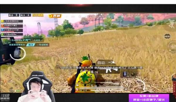 和平精英主播开什么辅助