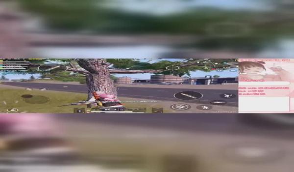 和平精英辅助手机版鸡腿