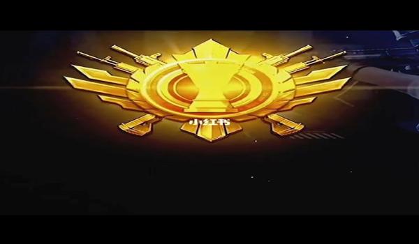 和平精英王者最强辅助排名