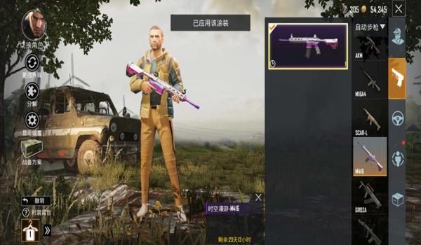 和平精英国际服最强辅助