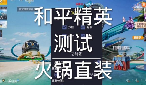 和平精英直装破解版辅助